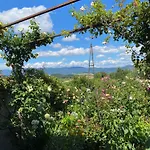 Holiday home La Sosta Di Sismano